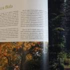 zdjęcie nr 9