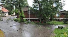 zdjęcie nr 8