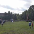zdjęcie nr 37