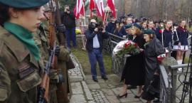zdjęcie nr 12