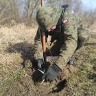 Fotka nr 1 z 15