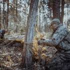 Fotka nr 2 z 10