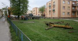 Fotka nr 4 z 10