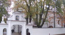 zdjęcie nr 7