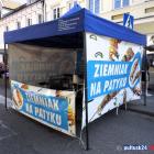 Fotka nr 0 z 113