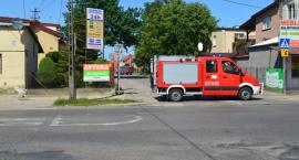 Fotka nr 1 z 20