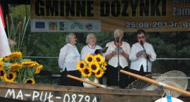 zdjęcie nr 42