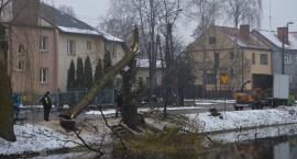 Fotka nr 2 z 13
