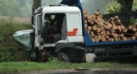 zdjęcie nr 9