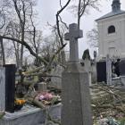 zdjęcie nr 56