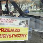 zdjęcie nr 11