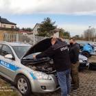 Fotka nr 1 z 11