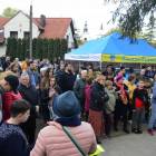 zdjęcie nr 26