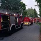 Fotka nr 1 z 8