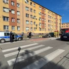 Fotka nr 1 z 8