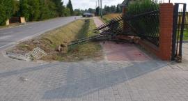 zdjęcie nr 8
