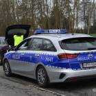 Fotka nr 2 z 19