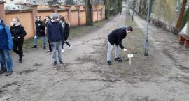 zdjęcie nr 17