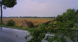 zdjęcie nr 8