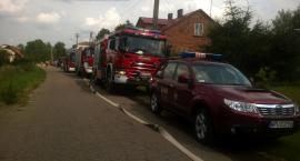 Fotka nr 3 z 12