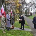 zdjęcie nr 43