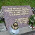 zdjęcie nr 31