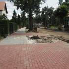 zdjęcie nr 11