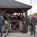 zdjęcie nr 24
