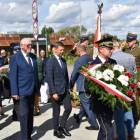 zdjęcie nr 9
