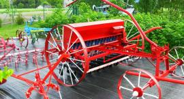 zdjęcie nr 7