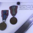 zdjęcie nr 10