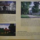 zdjęcie nr 12