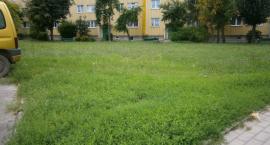 Fotka nr 5 z 6