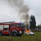 zdjęcie nr 153
