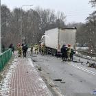 zdjęcie nr 14