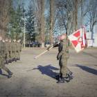 Fotka nr 1 z 25