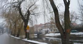 zdjęcie nr 12