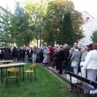 zdjęcie nr 7