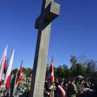 zdjęcie nr 38