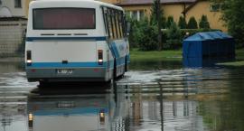 zdjęcie nr 11
