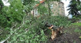zdjęcie nr 36