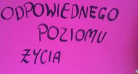 zdjęcie nr 21
