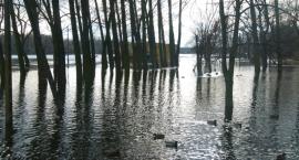 zdjęcie nr 21