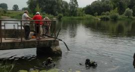 zdjęcie nr 8