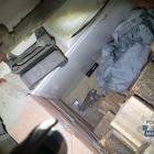 Fotka nr 5 z 18