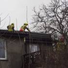 zdjęcie nr 9