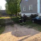 Fotka nr 5 z 9