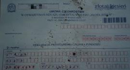 Fotka nr 2 z 8