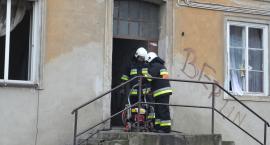 zdjęcie nr 8
