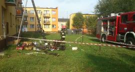 Fotka nr 5 z 8